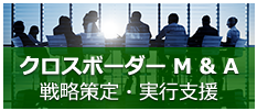 クロスボーダーM&A　戦略策定・実行支援